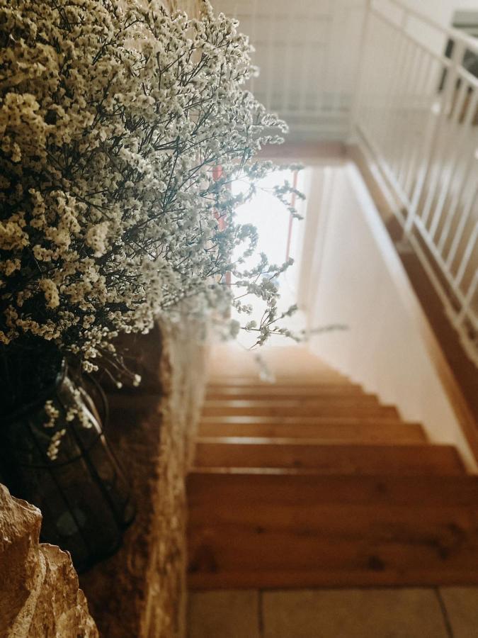 B&B Marnudd Bisceglie Dış mekan fotoğraf