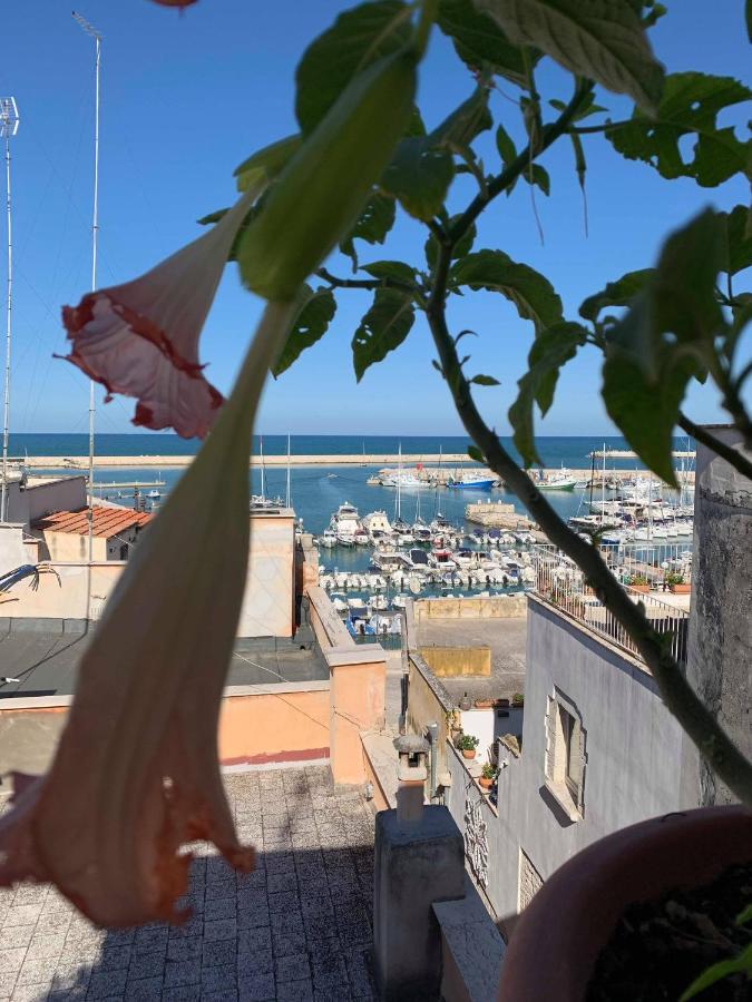B&B Marnudd Bisceglie Dış mekan fotoğraf